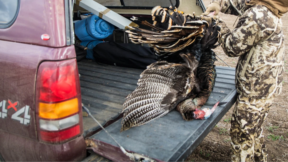 turkey-hunting-season