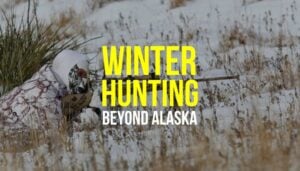 best-winter-hunting-places