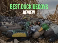 The Ultimate 2024 Guide to Duck Decoys: Tested & Reviewed