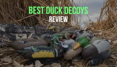 best-duck-decoys-review