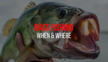 where-and-when-to-fish-for-bass
