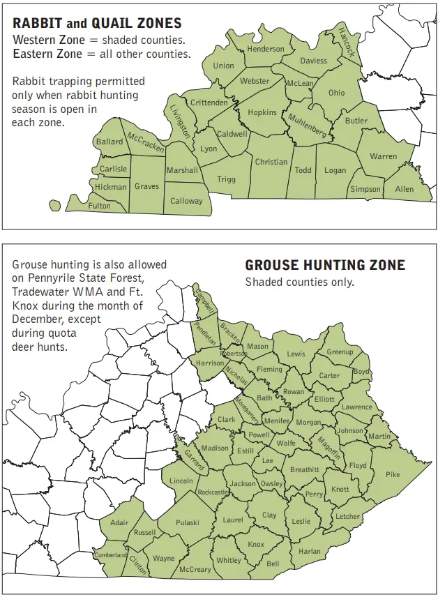 KY Hunting Seasons 2024-25: Dates, Regulations, and Gear