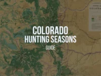 Colorado Hunting Seasons 2024-2025 [Guide]