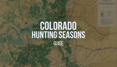 colorado-hunting-seasons