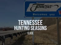 Tennessee Hunting Seasons 2024-25: Dates, Regulations, Licenses