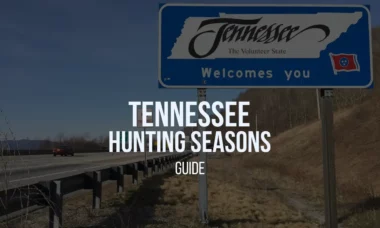 tn-hunting-seasons