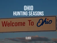 Ohio Hunting Seasons 2024-25: Dates, Regulations, Licenses