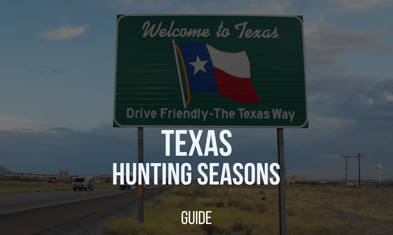 Texas Hunting Season 202425 Dates, Regulations, Licenses