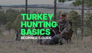 turkey hunting basics beginners guide