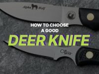 Choosing the Best Deer Hunting Knife for Gutting & Skinning