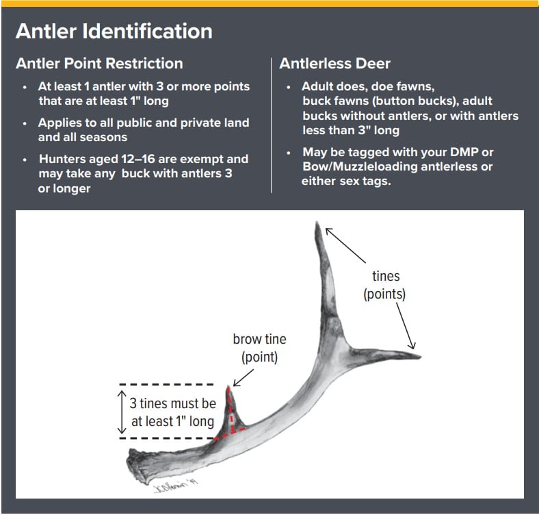 antler id nys