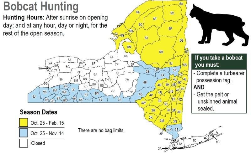 bobcat hunting dates and zones in nys