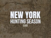 NYS Hunting Season 2025-26: Dates, Regulations, Licenses