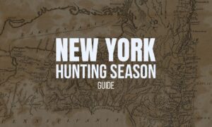 nys hunting season